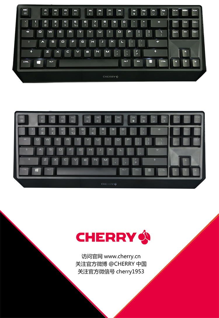 樱桃(cherry)mx board 1.0 tkl rgb g80-3814lsaeu-2